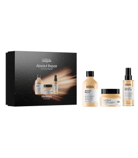 Coffret de Noël Absolut Repair