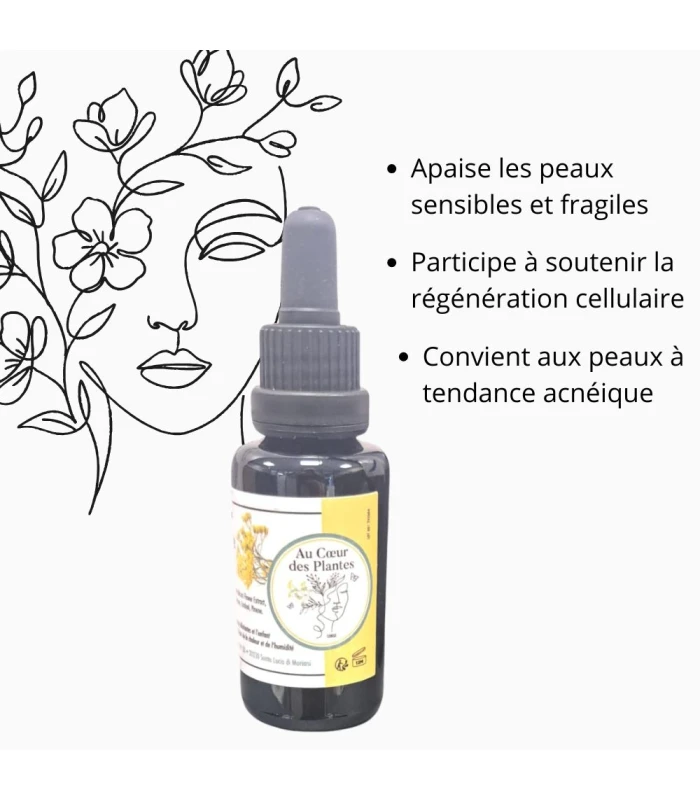 Macérât d’Immortelle de Corse - 30ml