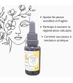 Macérât d’Immortelle de Corse - 30ml