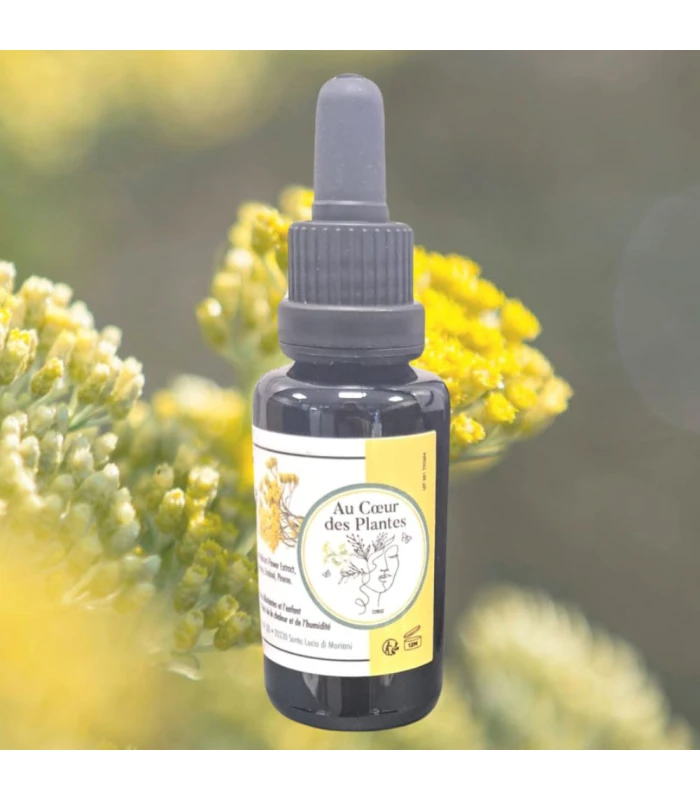 Macérât d’Immortelle de Corse - 30ml