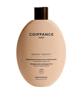 Shampoing réparateur - REPAIR THERAPY - 250ml
