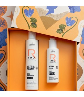 Coffret R-TWO - réparation profonde
