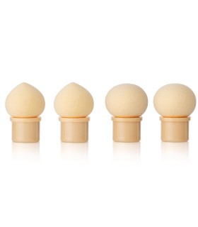 Pinceau Et Baby Boomer