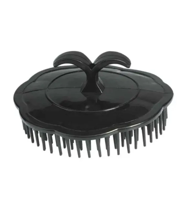 Brosse Massage Plastique