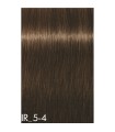 Igora royal  - Beiges - Coloration permanente