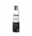 Shampoing post coloration COLOR ONE - 200ml - PATRICE MULATO