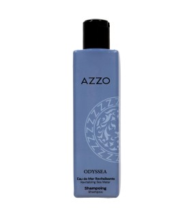 Routine capillaire - revitalisant Odysséa